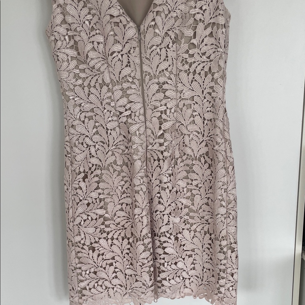 Eliza J Embroidered Powder Pink Lace Overlay Cocktail Dress - Size 4 - Picture 10 of 16